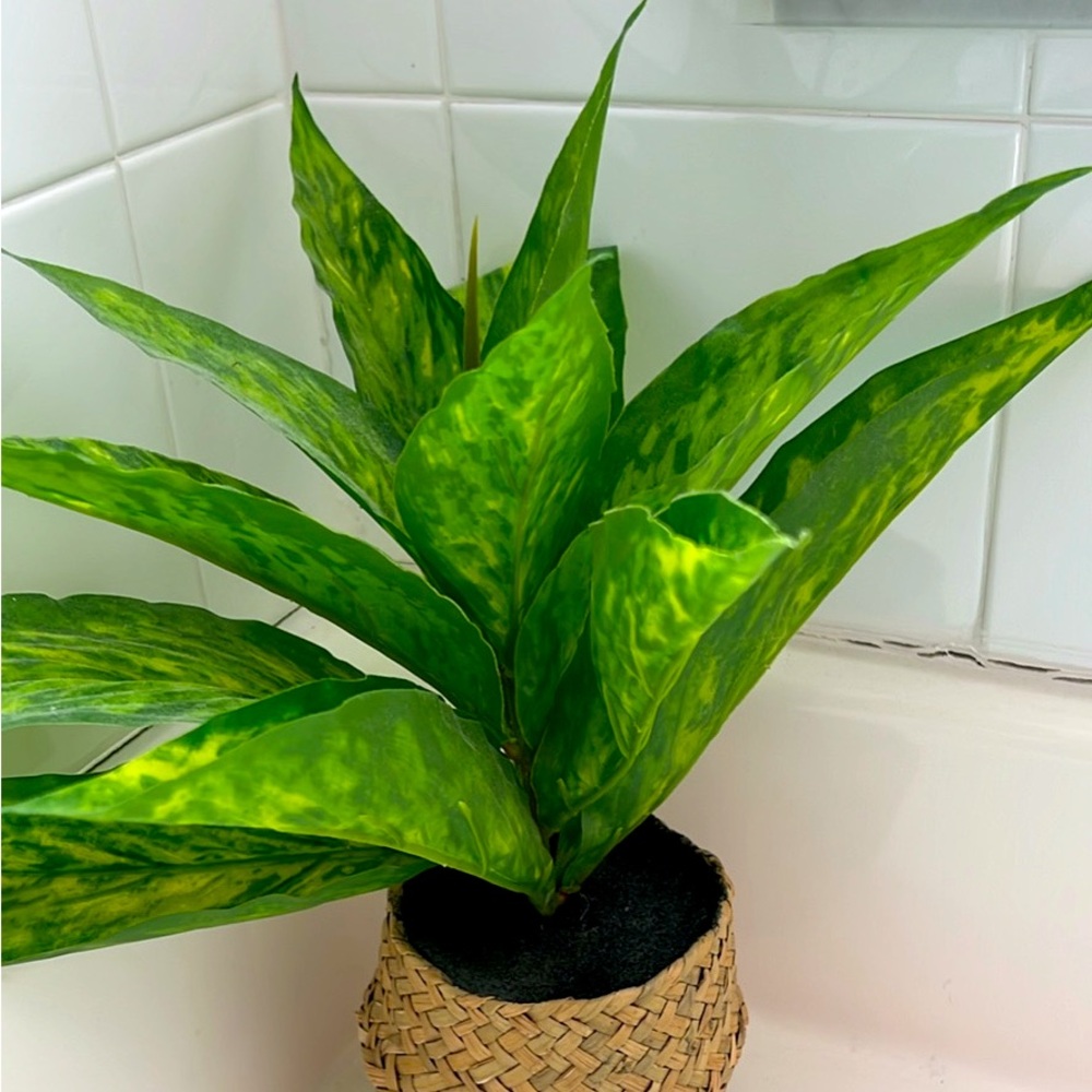 Faux Green Potted Plant in Wicker Basket